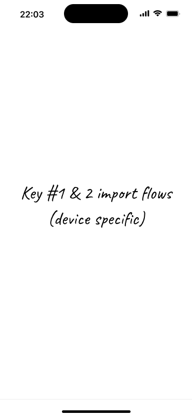 Placeholder screen for the key import flow.